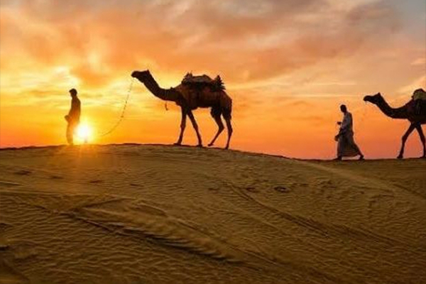 Western Desert Safari